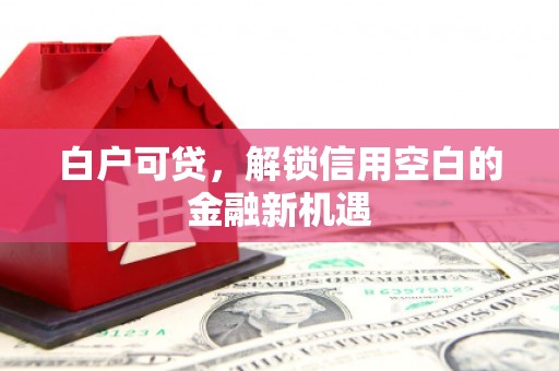 东平白户可贷，解锁信用空白的金融新机遇