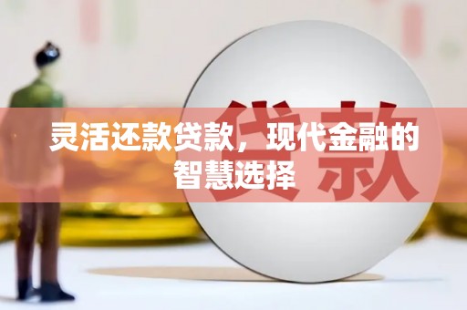 东平灵活还款贷款，现代金融的智慧选择