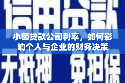 东平小额贷款公司利率，如何影响个人与企业的财务决策