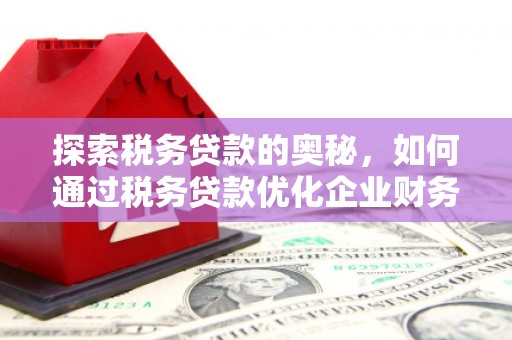 东平探索税务贷款的奥秘，如何通过税务贷款优化企业财务