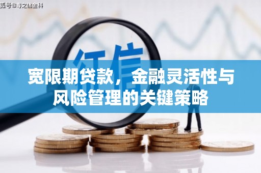 东平宽限期贷款，金融灵活性与风险管理的关键策略