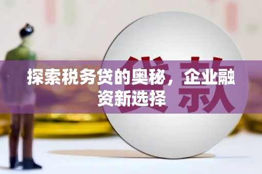 东平探索税务贷的奥秘，企业融资新选择