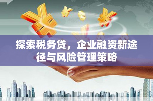 东平探索税务贷，企业融资新途径与风险管理策略