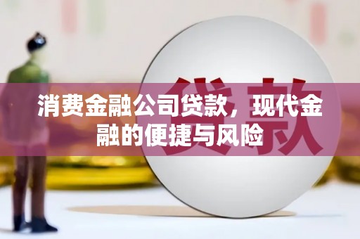 东平消费金融公司贷款，现代金融的便捷与风险