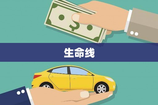 东平生命线