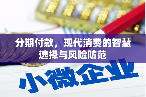 东平分期付款，现代消费的智慧选择与风险防范