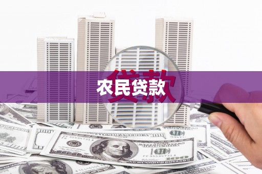东平农民贷款