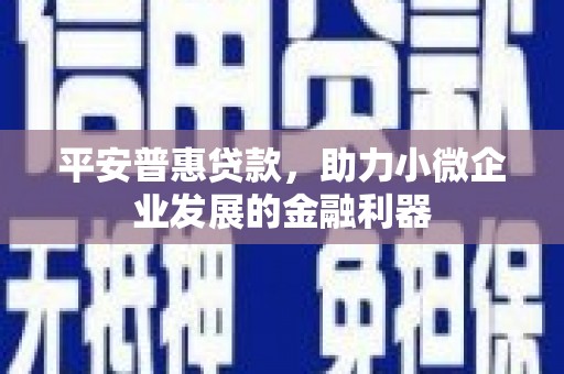 东平平安普惠贷款，助力小微企业发展的金融利器