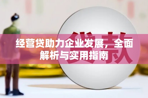 东平经营贷助力企业发展，全面解析与实用指南