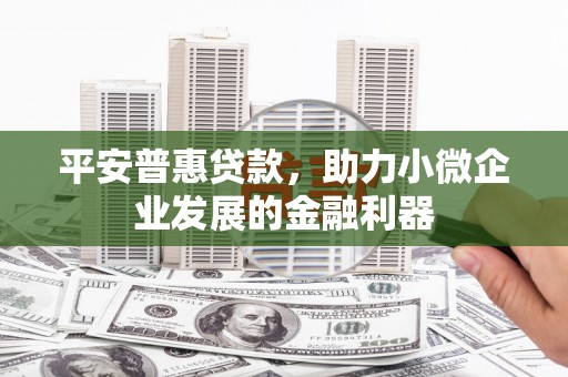 东平平安普惠贷款，助力小微企业发展的金融利器