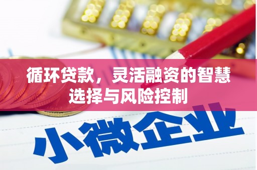 东平循环贷款，灵活融资的智慧选择与风险控制