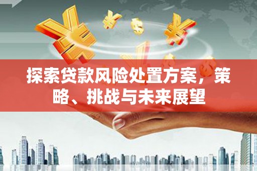东平探索贷款风险处置方案，策略、挑战与未来展望