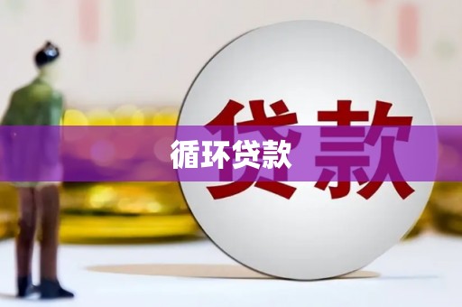 东平循环贷款
