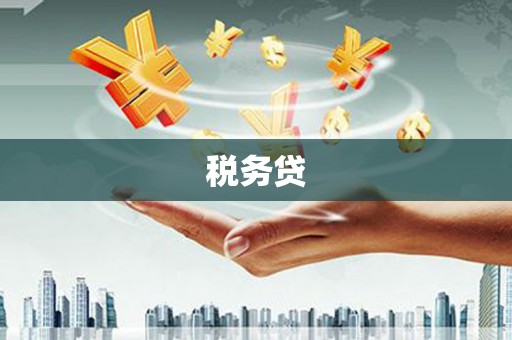 东平税务贷