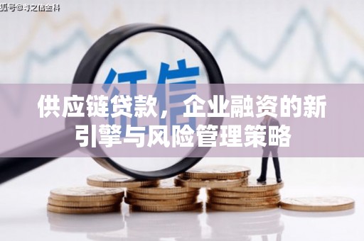 东平供应链贷款，企业融资的新引擎与风险管理策略