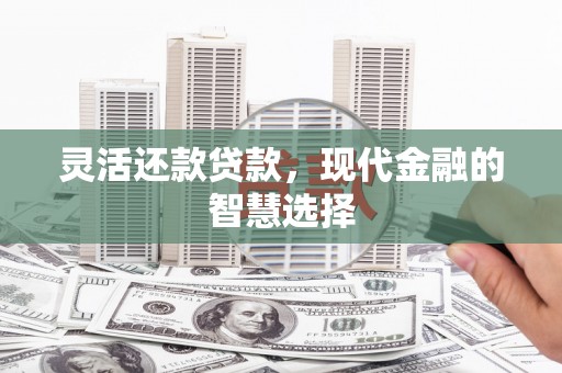 东平灵活还款贷款，现代金融的智慧选择