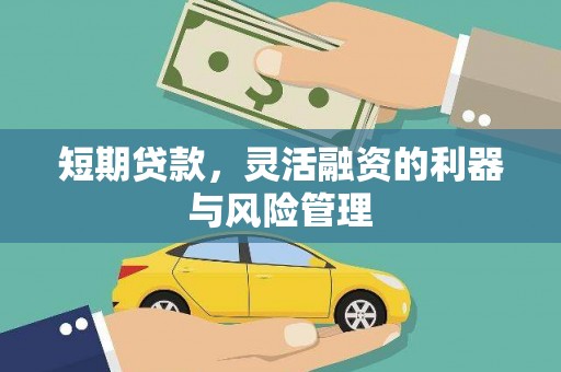 东平短期贷款，灵活融资的利器与风险管理