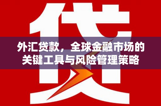 东平外汇贷款，全球金融市场的关键工具与风险管理策略