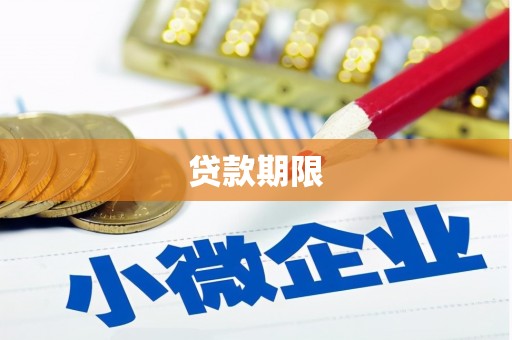 东平贷款期限