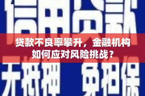 东平贷款不良率攀升，金融机构如何应对风险挑战？