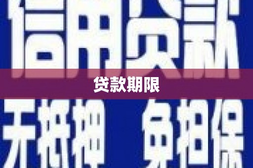 东平贷款期限