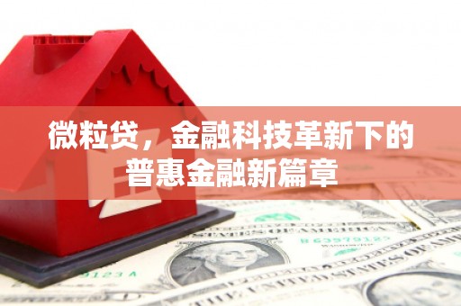 东平微粒贷，金融科技革新下的普惠金融新篇章