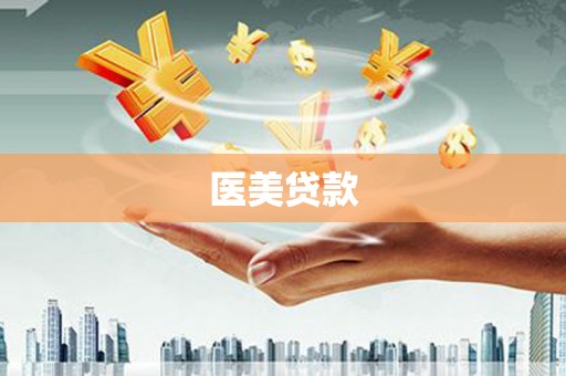 东平医美贷款