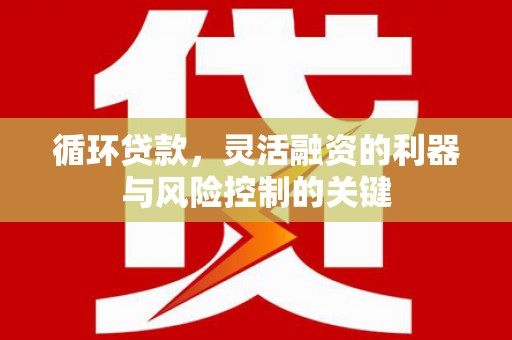 东平循环贷款，灵活融资的利器与风险控制的关键