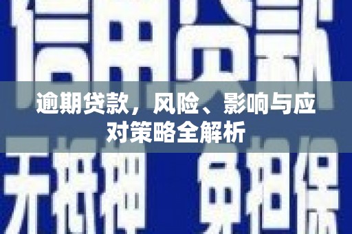 东平逾期贷款，风险、影响与应对策略全解析