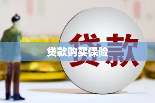 东平贷款购买保险