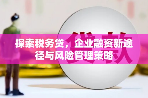 东平探索税务贷，企业融资新途径与风险管理策略
