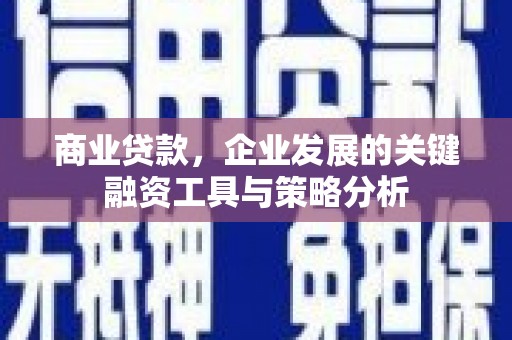 东平商业贷款，企业发展的关键融资工具与策略分析