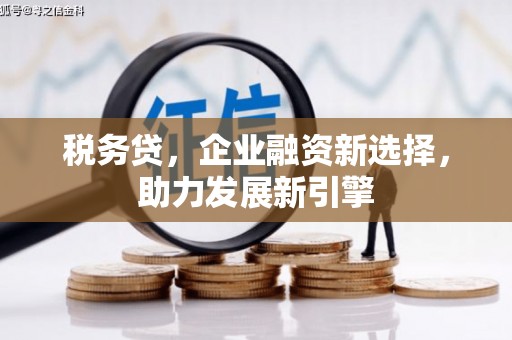 东平税务贷，企业融资新选择，助力发展新引擎