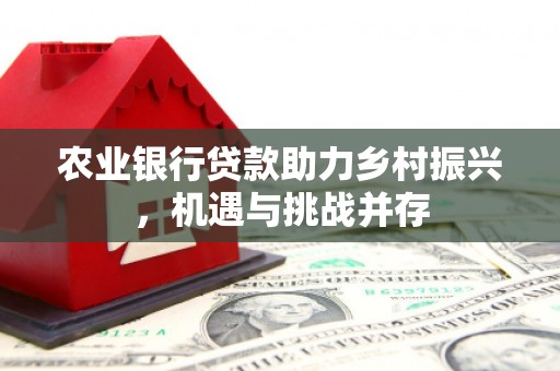 东平农业银行贷款助力乡村振兴，机遇与挑战并存
