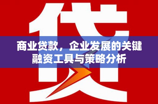 东平商业贷款，企业发展的关键融资工具与策略分析