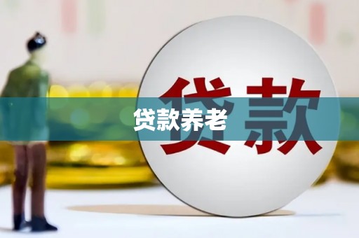 东平贷款养老