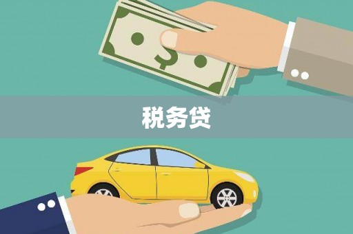 东平税务贷