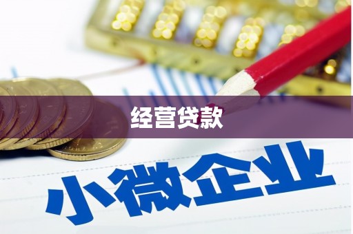 东平经营贷款