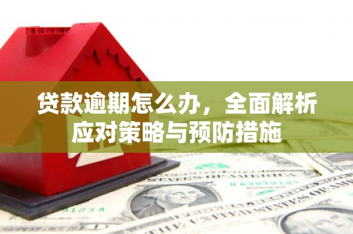 东平贷款逾期怎么办，全面解析应对策略与预防措施