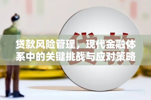东平贷款风险管理，现代金融体系中的关键挑战与应对策略