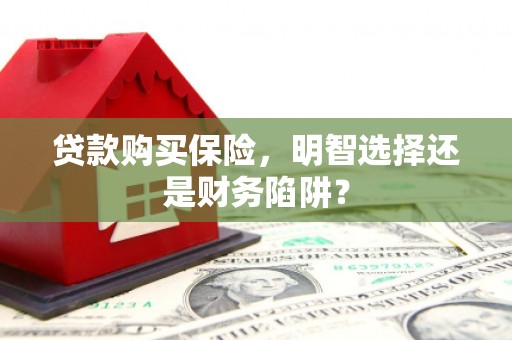 东平贷款购买保险，明智选择还是财务陷阱？