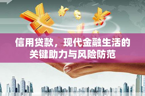 东平信用贷款，现代金融生活的关键助力与风险防范