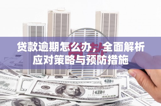 东平贷款逾期怎么办，全面解析应对策略与预防措施
