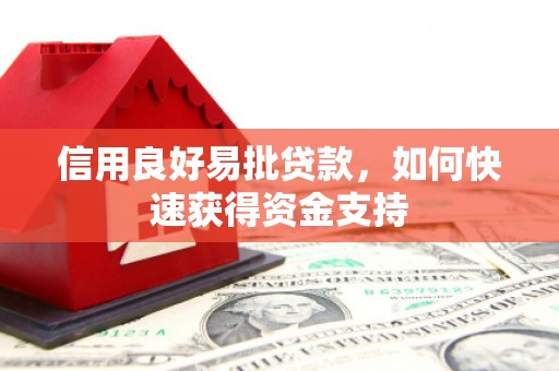 东平信用良好易批贷款，如何快速获得资金支持