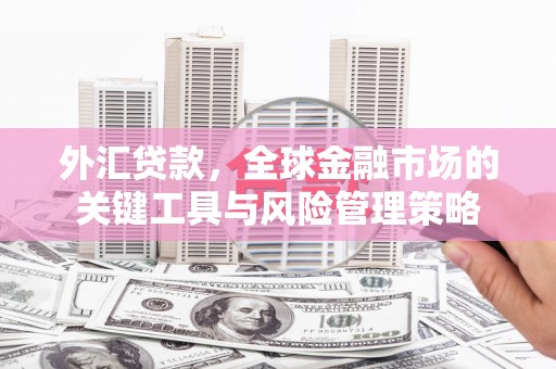 东平外汇贷款，全球金融市场的关键工具与风险管理策略