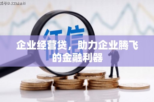 东平企业经营贷，助力企业腾飞的金融利器
