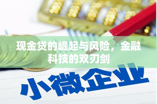 东平现金贷的崛起与风险，金融科技的双刃剑