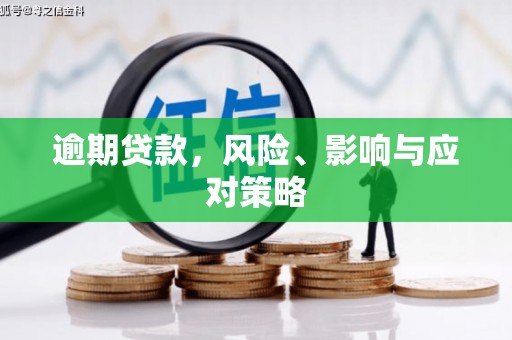 东平逾期贷款，风险、影响与应对策略