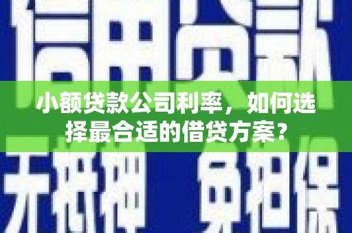 东平小额贷款公司利率，如何选择最合适的借贷方案？