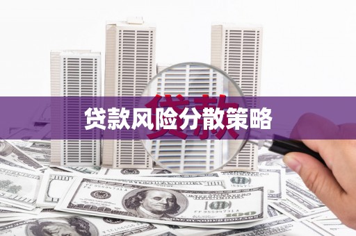 东平贷款风险分散策略